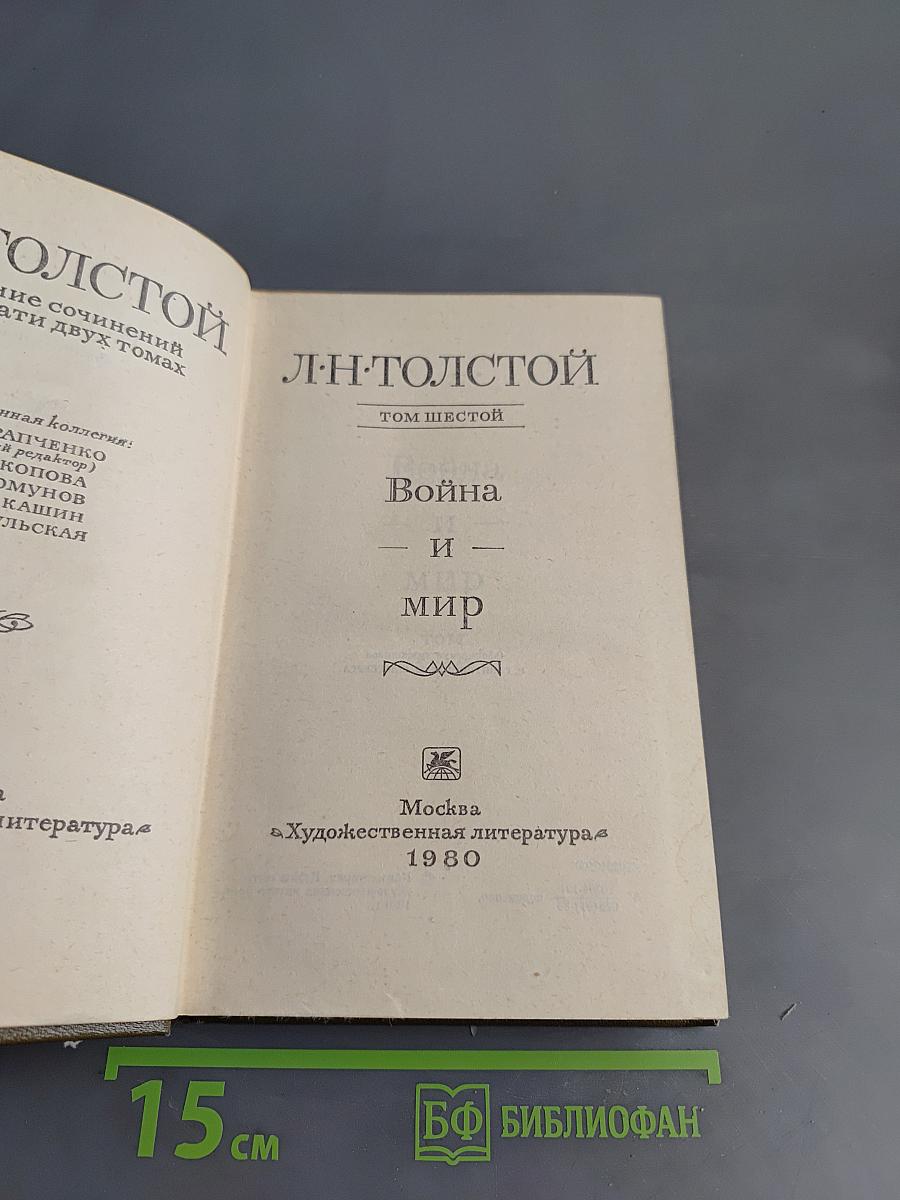 Война и мир. Том шестой