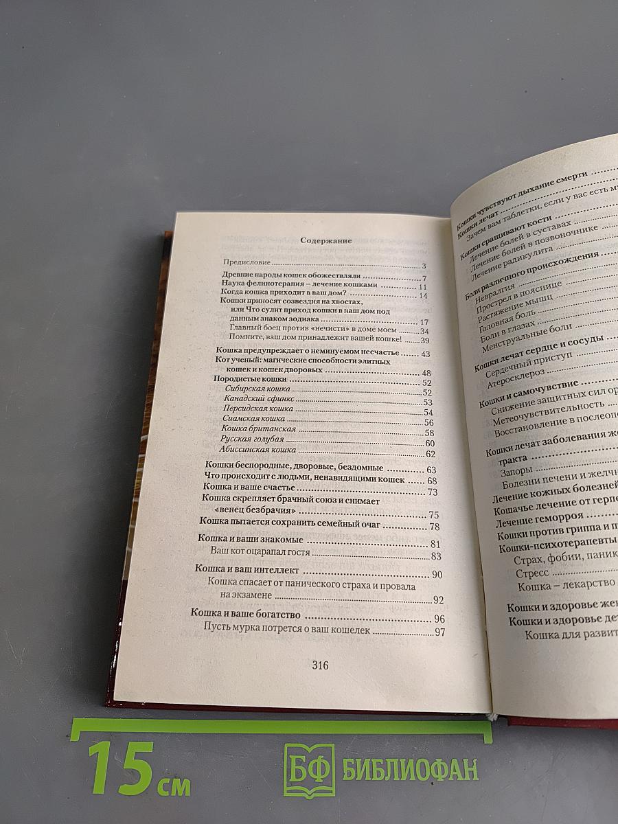 Кошка-целитель