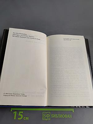 Gespräch über Dante. Russisch und deutsch