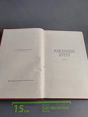 Рождённые бурей