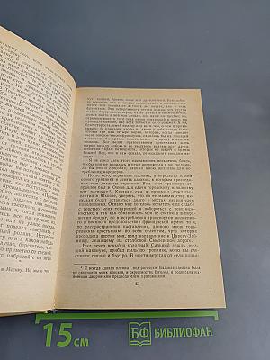 Дневник партизанских действий 1812 г. Записки кавалерист-девицы