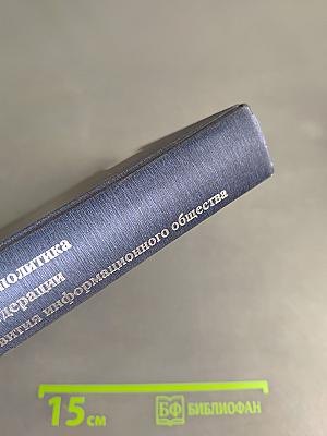Государственная политика Российской Федерации в области развития информационного общества