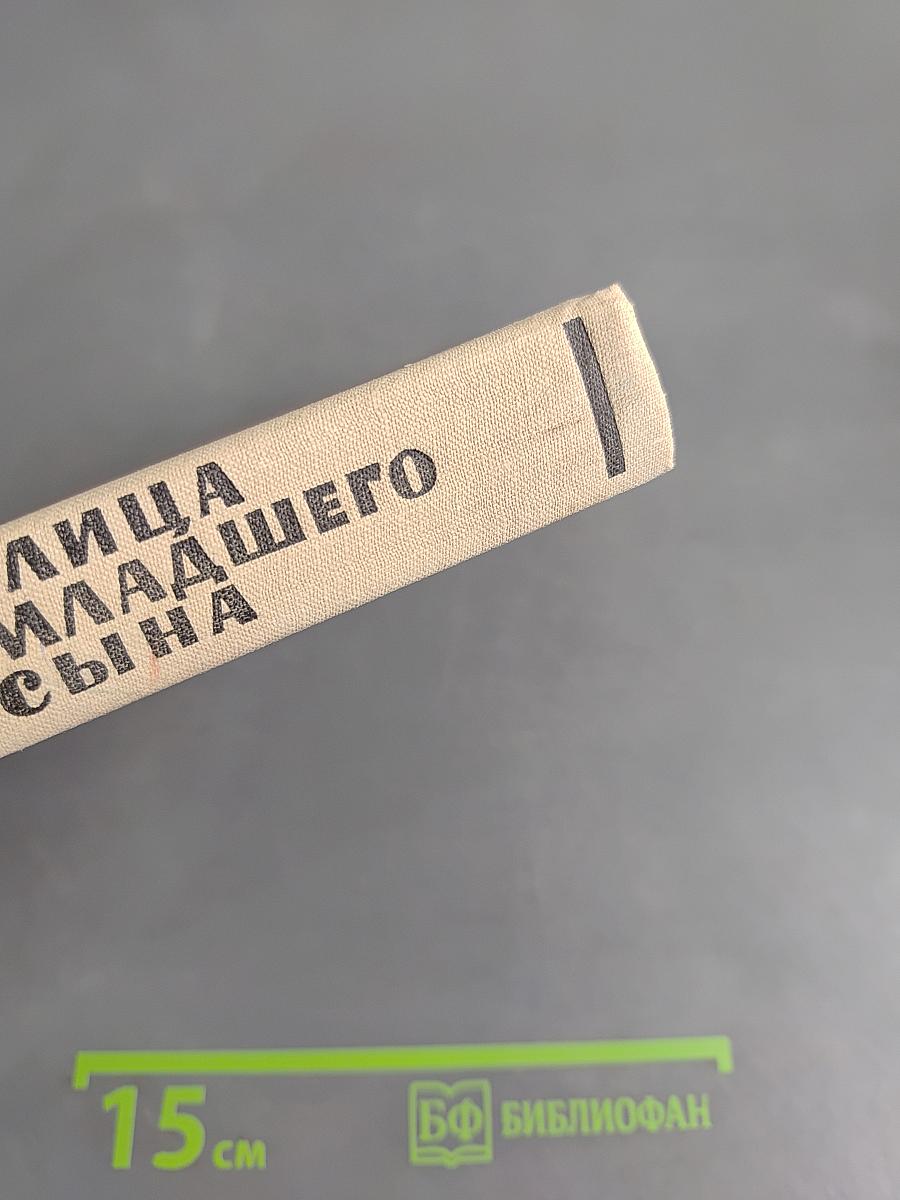 Улица младшего сына