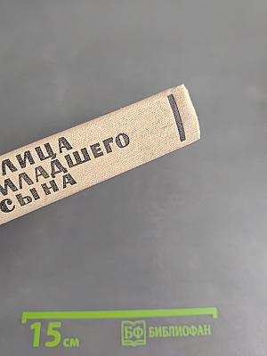 Улица младшего сына