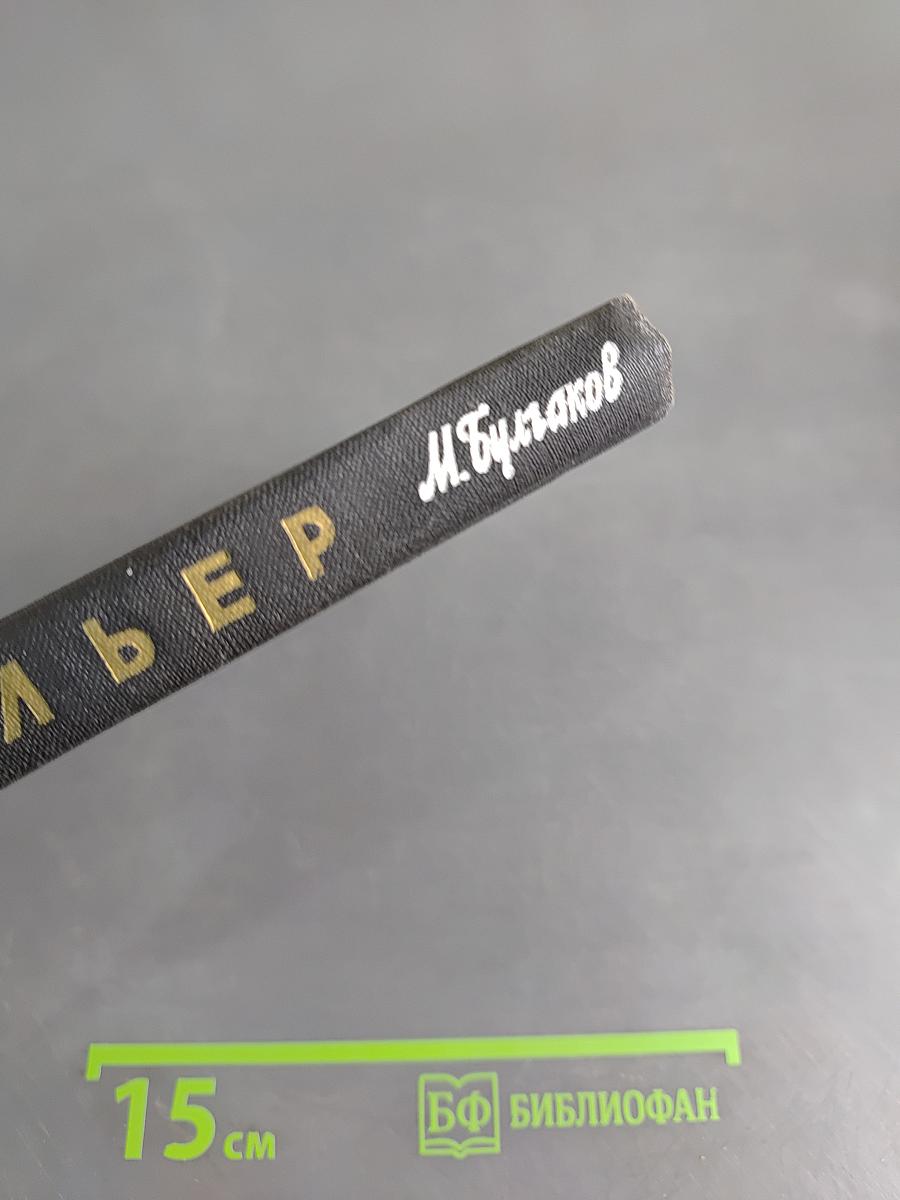 Жизнь господина де Мольера