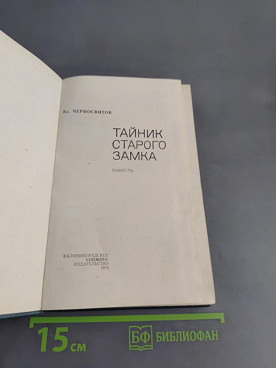 Тайник старого замка