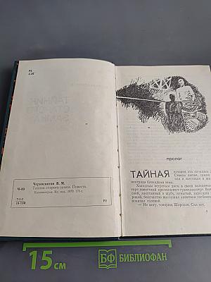 Тайник старого замка