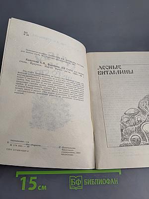 Грибы для вашего стола