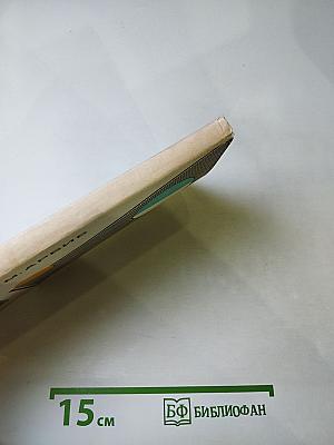 Мозг, машина и математика