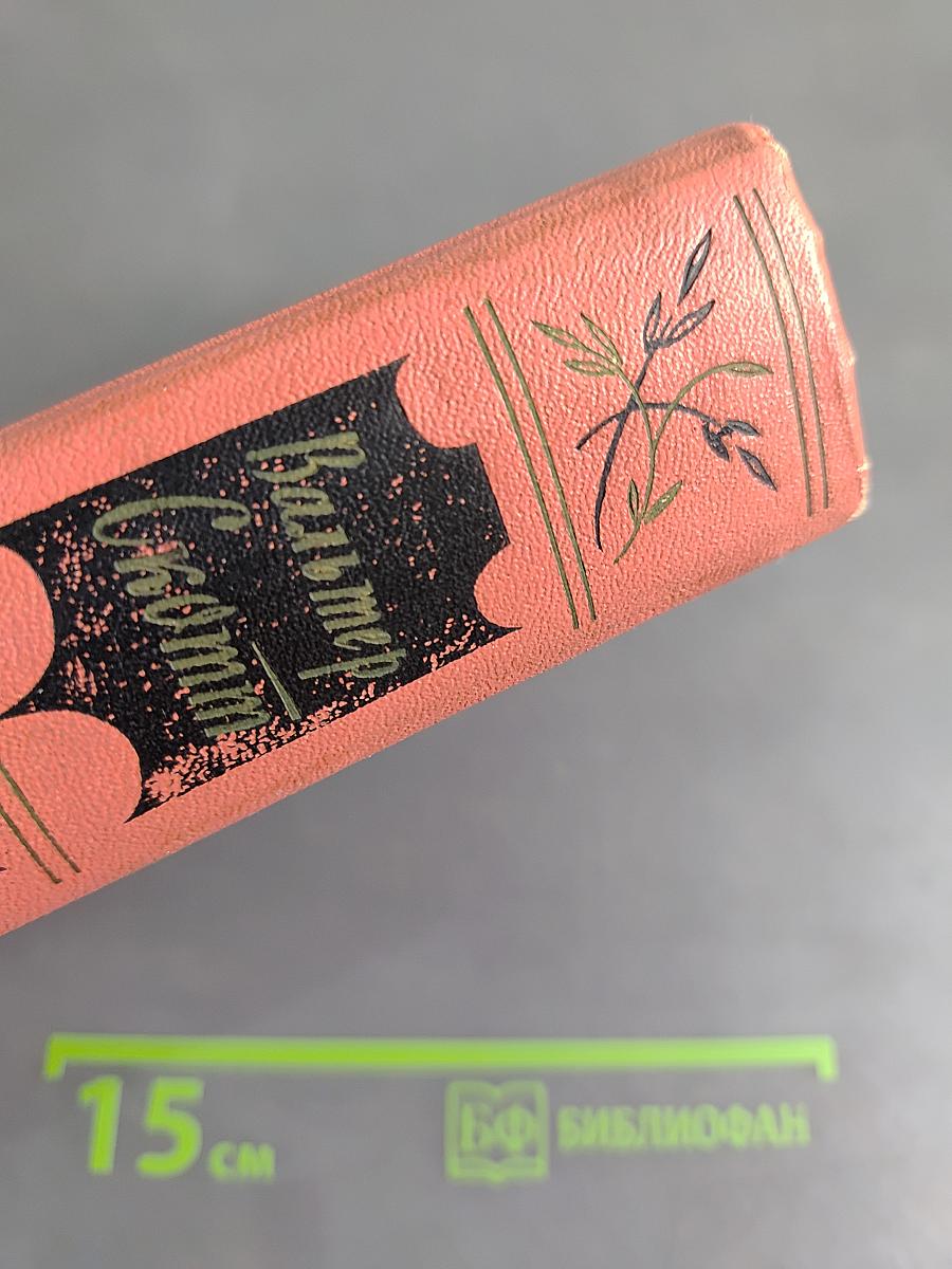 Эдинбургская темница. Том шестой