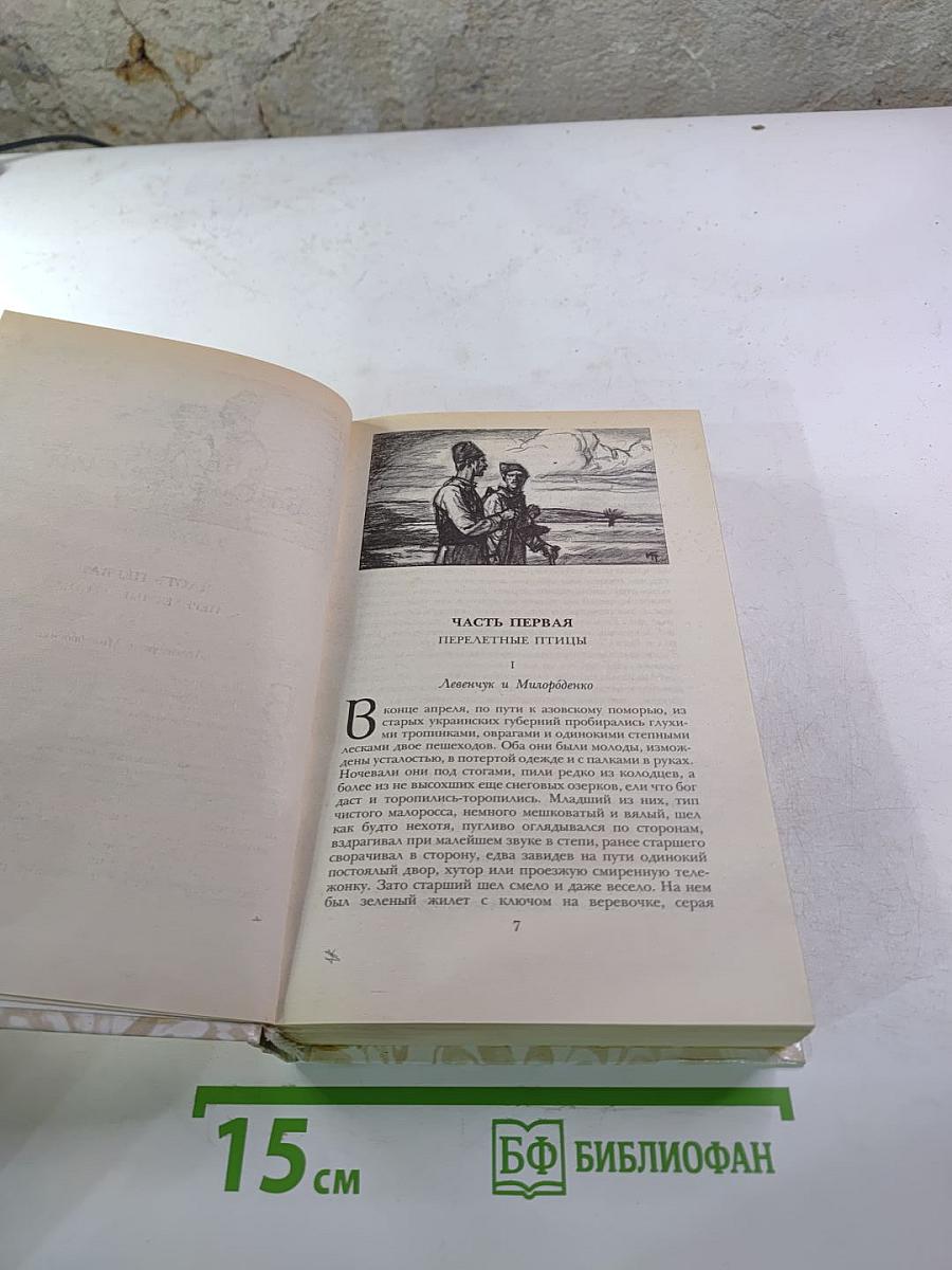 Беглые в Новороссии. Воля. Княжна Тараканова