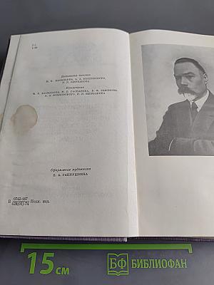 Собрание сочинений. Том третий. Стихотворения 1918-1924. Поэма «Египетские ночи» и стихотворения, не включавшиеся в сборники 1891-1924