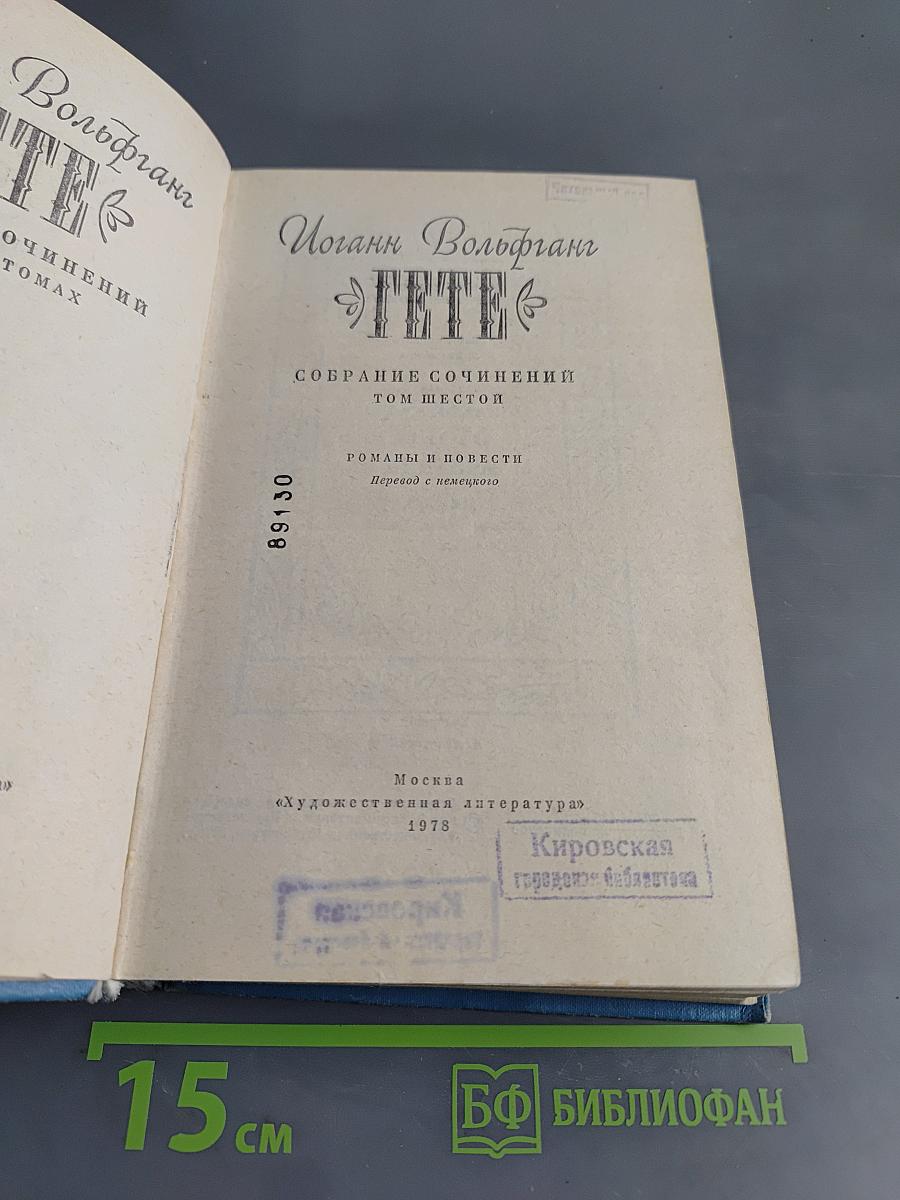 Собрание сочинений. Том 6. Романы и повести