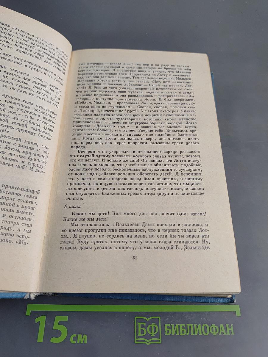 Собрание сочинений. Том 6. Романы и повести