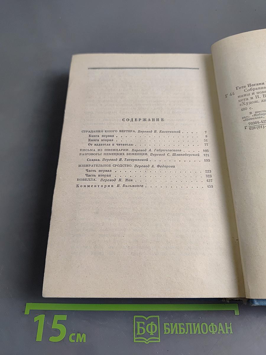 Собрание сочинений. Том 6. Романы и повести