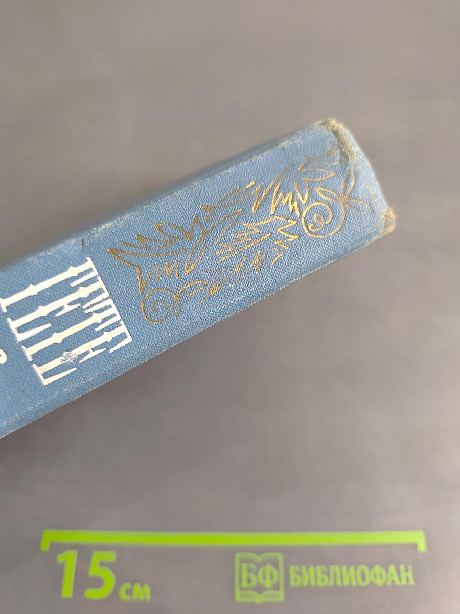Собрание сочинений. Том 6. Романы и повести