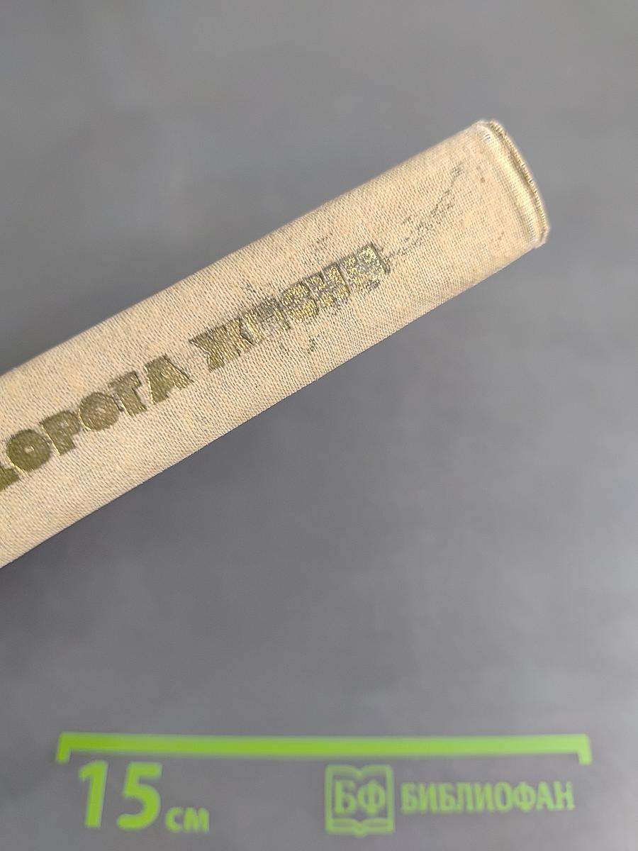 Дорога жизни