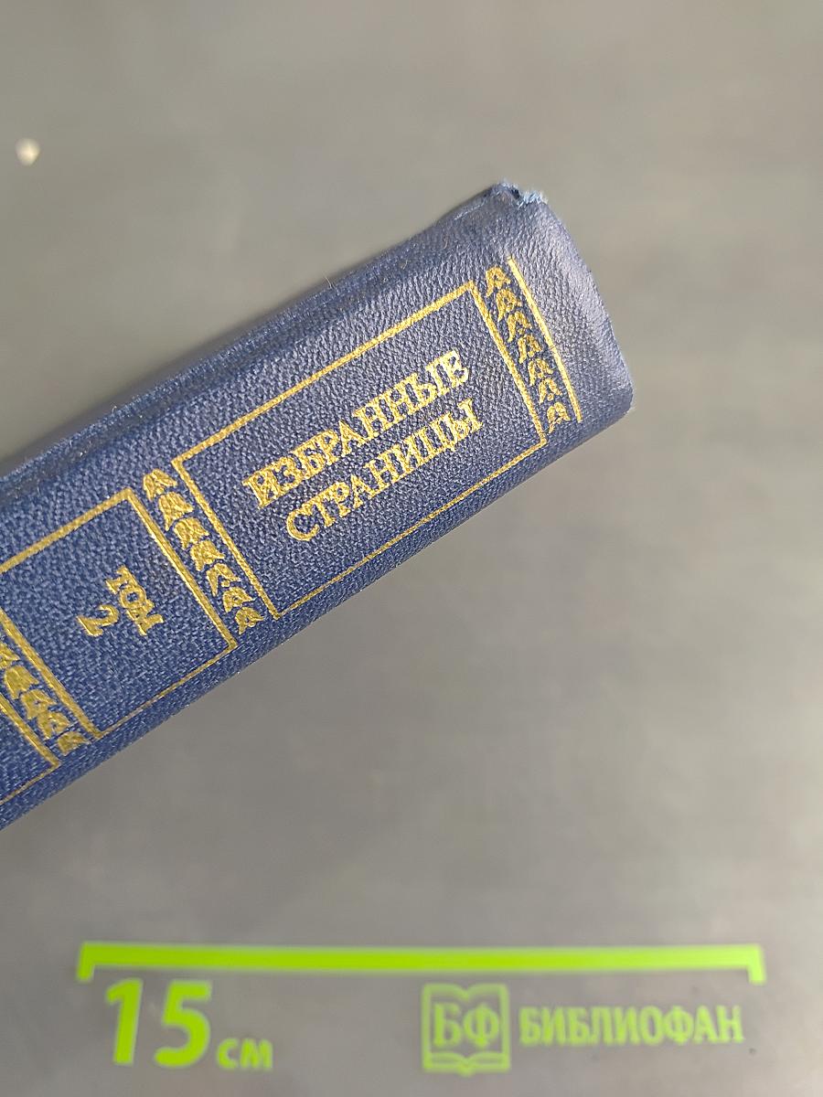 Избранные страницы. Том 2