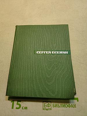 Собрание сочинений. Том пятый. Автобиографии. Письма