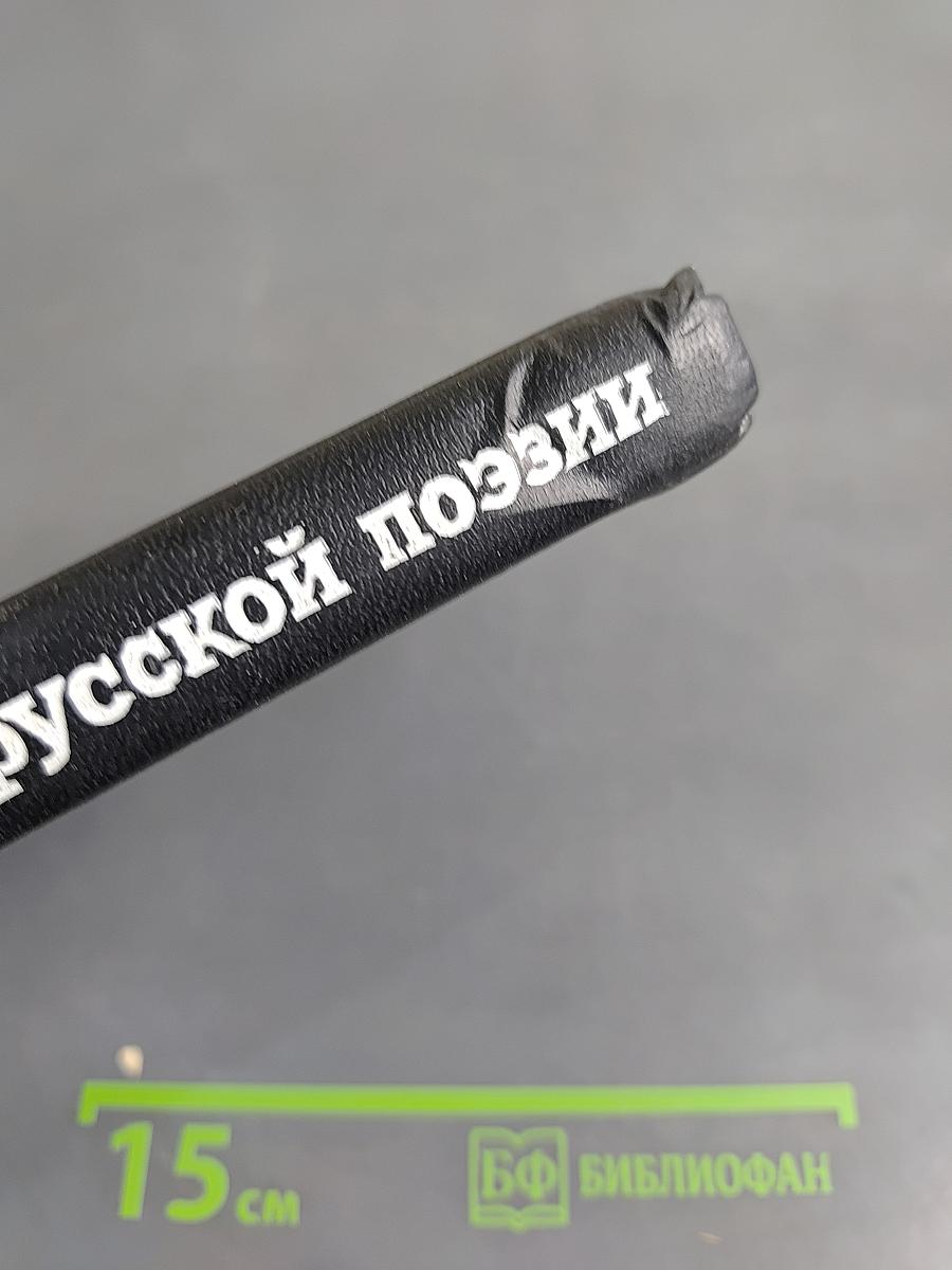 История русской поэзии 1730-1980
