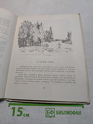 В берёзовой роще. Рассказы