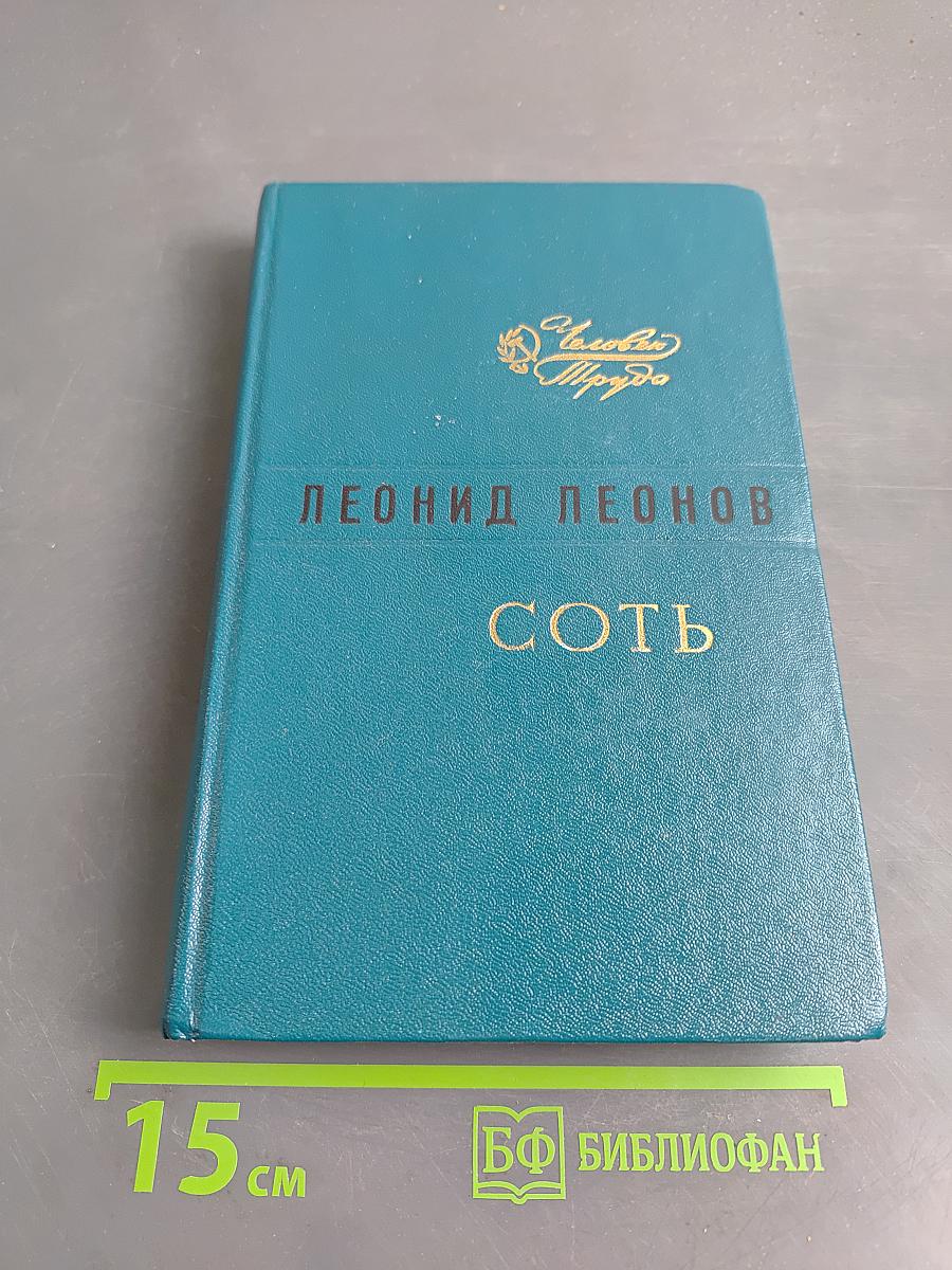 Соть