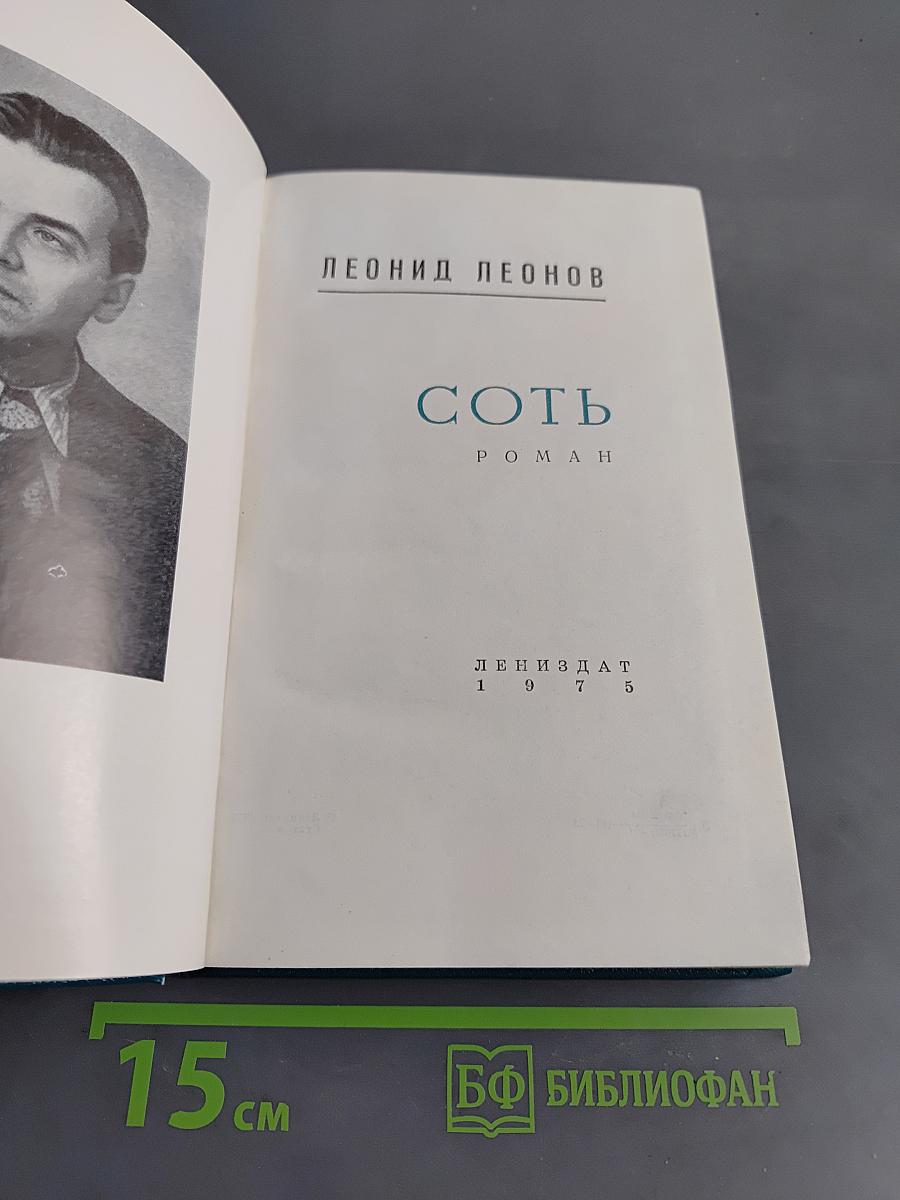 Соть