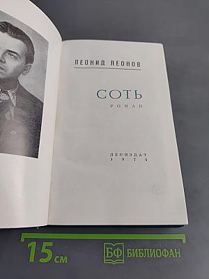 Соть
