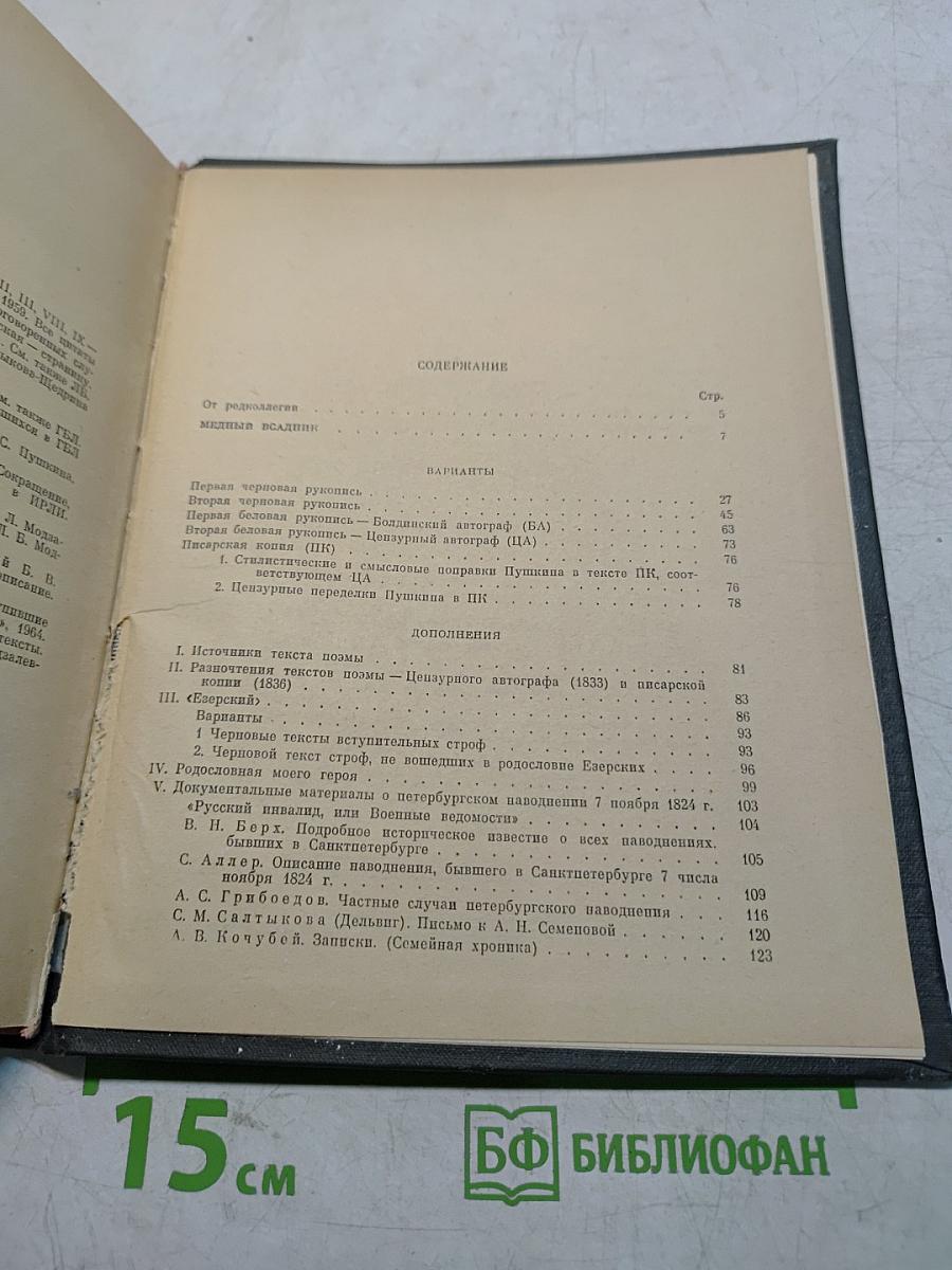 Медный всадник