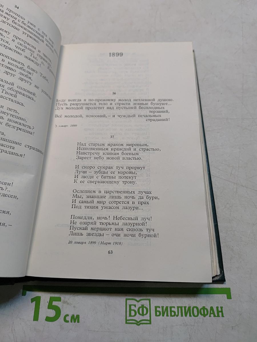 Стихотворения и поэмы. Том 1