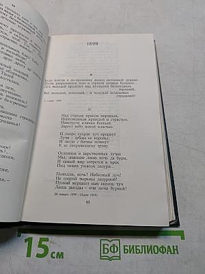 Стихотворения и поэмы. Том 1