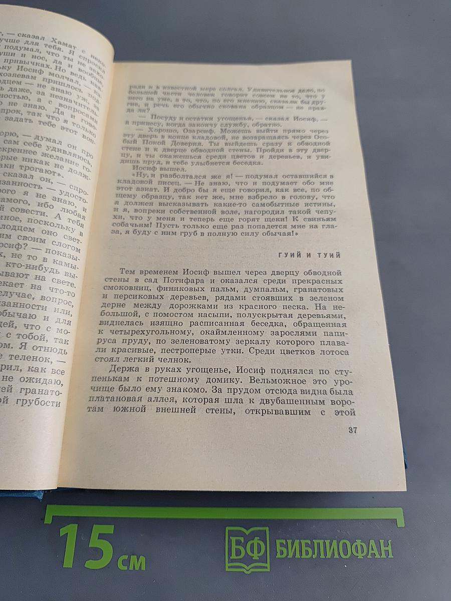 Иосиф и его братья. Том 2