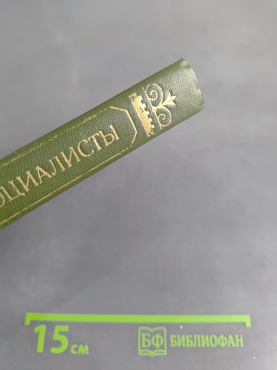 Первые русские социалисты
