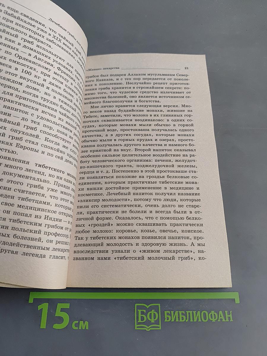 Лечебные грибы для вашего здоровья
