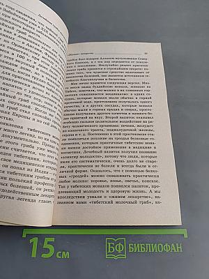 Лечебные грибы для вашего здоровья