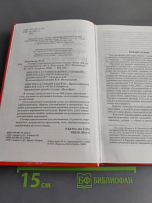 Словарь паронимов русского языка