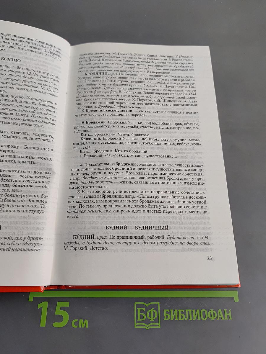 Словарь паронимов русского языка
