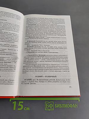 Словарь паронимов русского языка