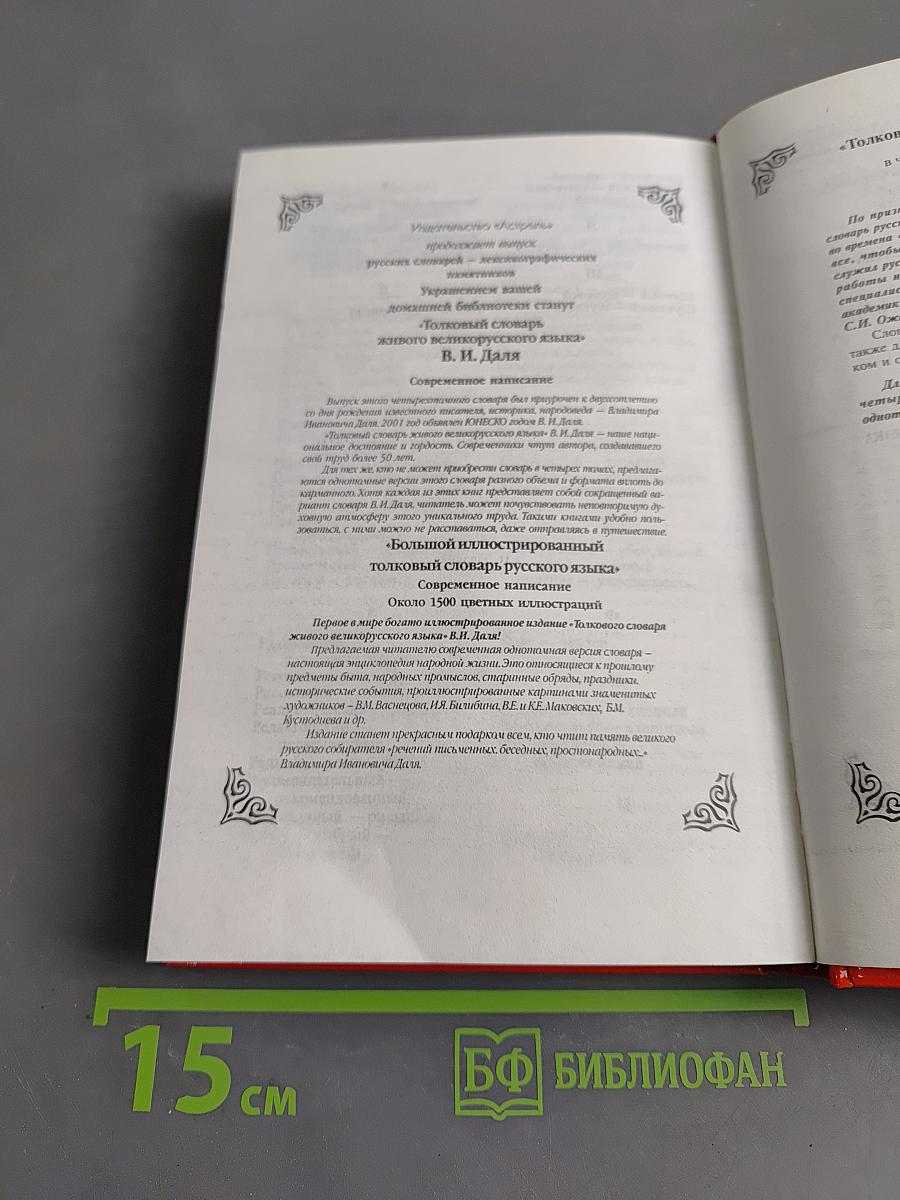 Словарь паронимов русского языка