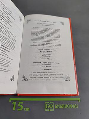 Словарь паронимов русского языка
