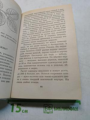 Я познаю мир. Растения