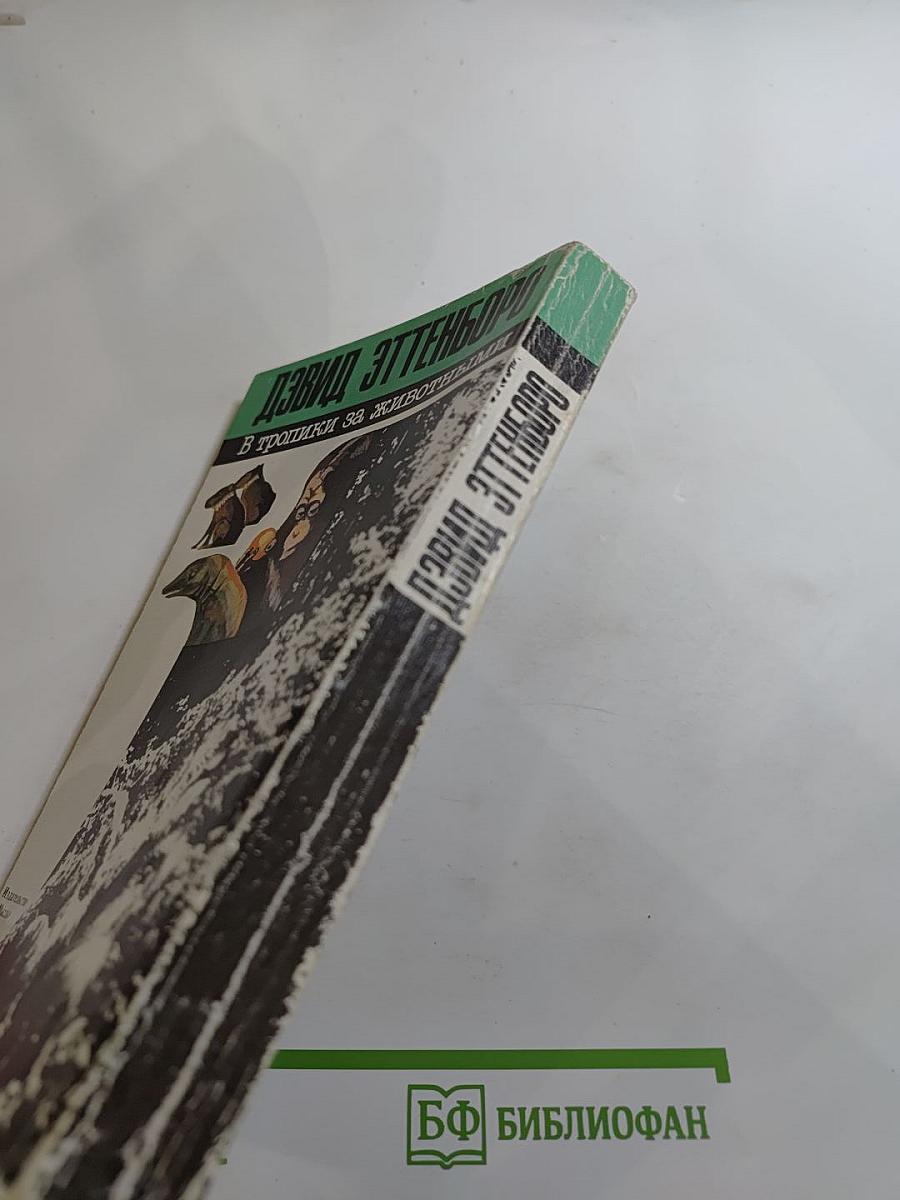 В тропики за животными