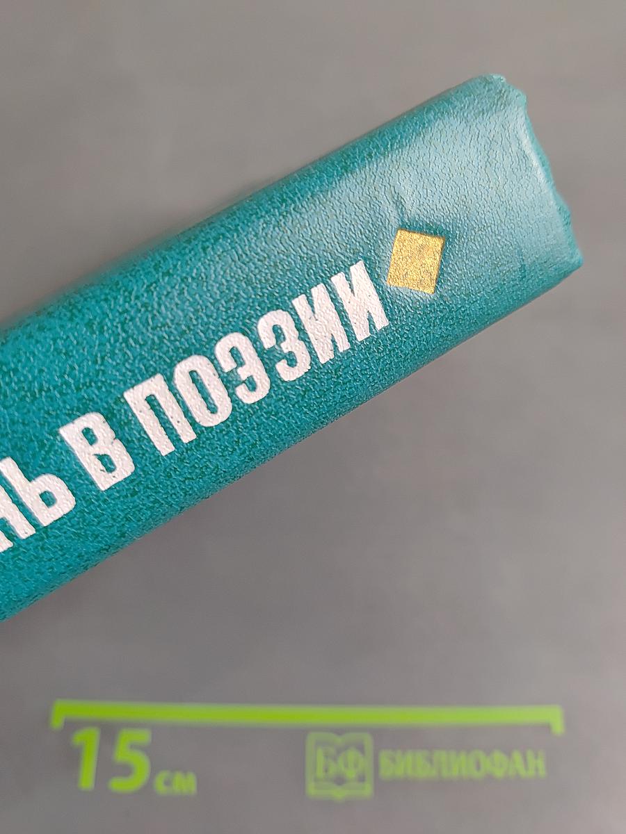 Жизнь в поэзии. Творчество И. Сельвинского