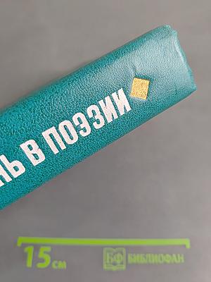 Жизнь в поэзии. Творчество И. Сельвинского