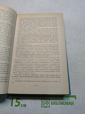 История русской литературы XIX века (1840-1860-е годы)