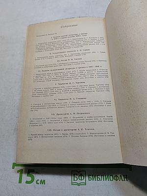 История русской литературы XIX века (1840-1860-е годы)