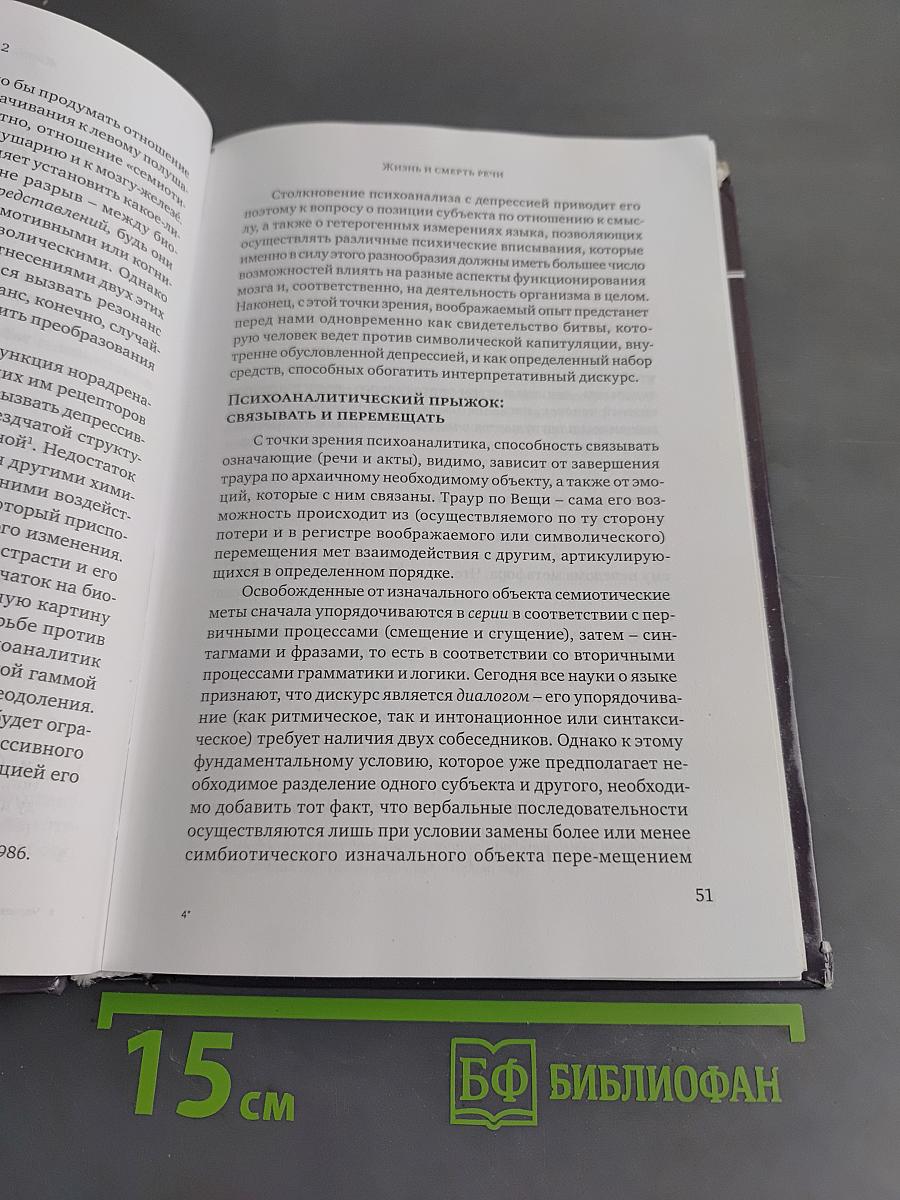 Черное солнце: Депрессия и меланхолия