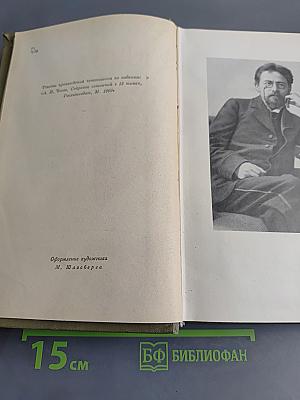 Избранные произведения. Том первый. Повести и рассказы 1880-1888. Пьесы 1887-1903