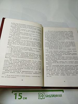 Железный король. Узница Шато-Гайара