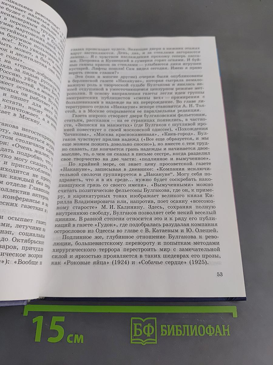 Литература 11 класс. Учебник для общеобразовательных учреждений. В двух частях. Часть 2